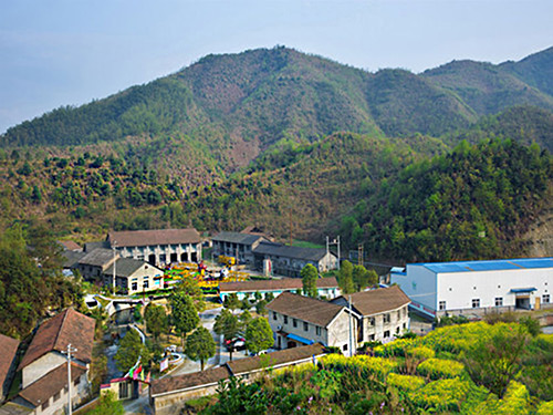 热烈祝贺D体育平台正式上线！